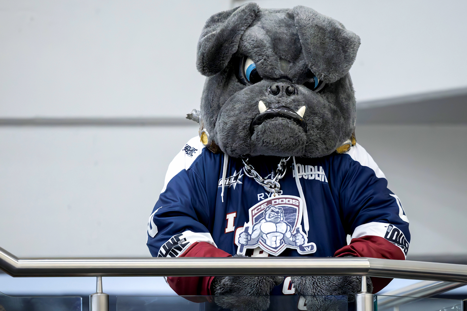 2026 AIHL Season Preview